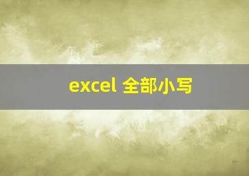 excel 全部小写